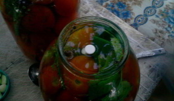 квашенные помидоры по-русаковски