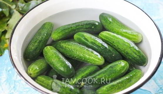 квашеные огурцы без стерилизации на зиму