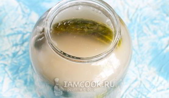 квашеные огурцы без стерилизации на зиму