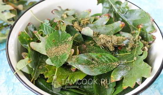 квашеные огурцы без стерилизации на зиму