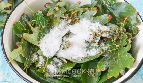 квашеные огурцы без стерилизации на зиму