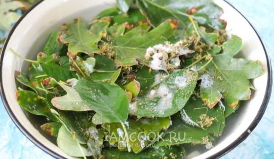 квашеные огурцы без стерилизации на зиму