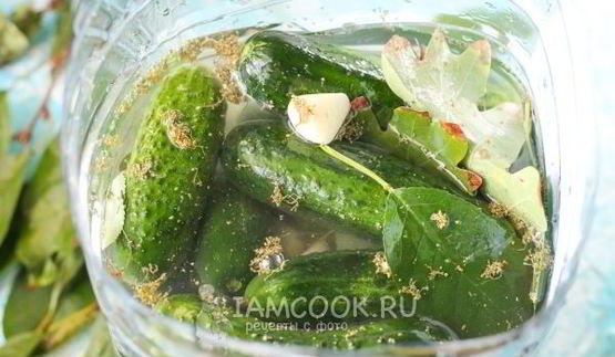 квашеные огурцы без стерилизации на зиму
