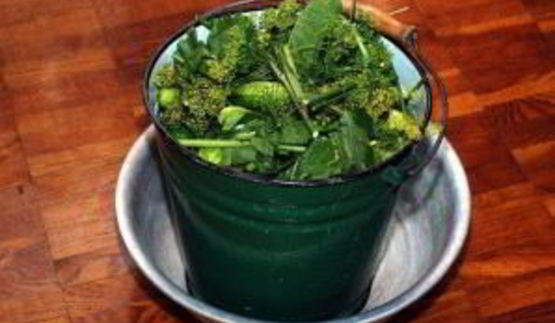 квашеные огурцы