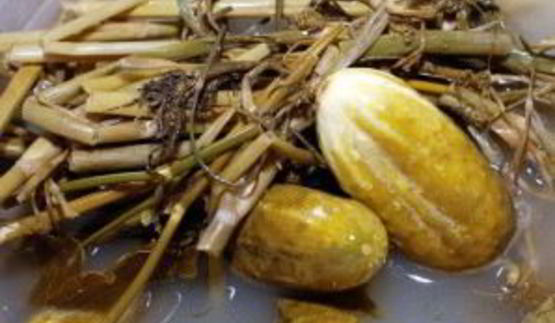 квашеные огурцы