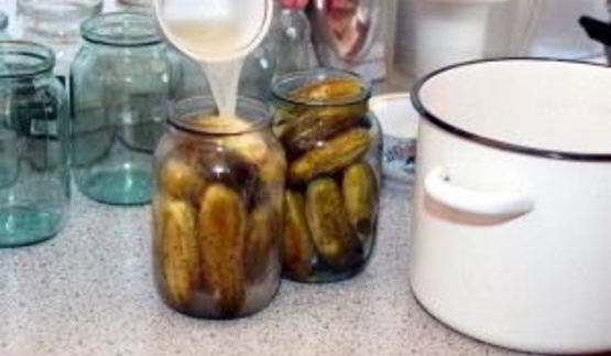 квашеные огурцы