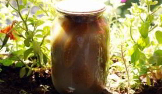 квашеные огурцы