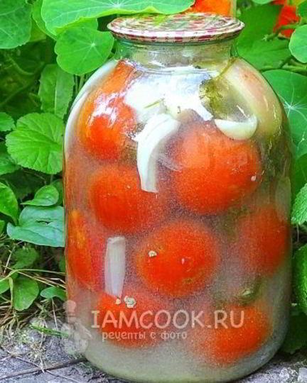 Рецепт квашеных помидоров в банках