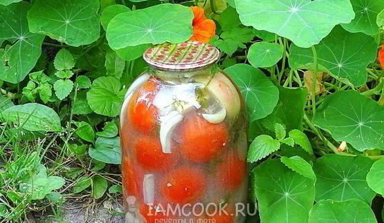 квашеные помидоры в банках