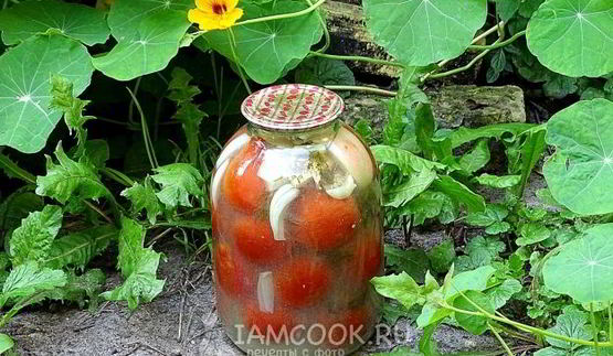 квашеные помидоры в банках