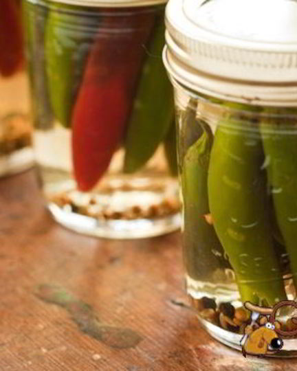 Рецепт горького перца маринованного на зиму