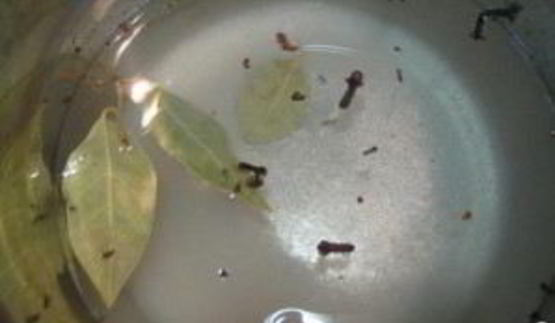 грибочки маринованные рождественские