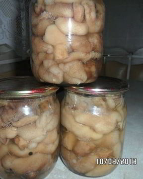 Грибочки маринованные