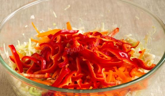 капуста провансаль