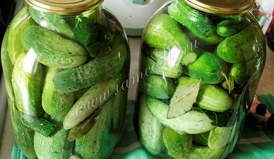 классические маринованные огурцы на зиму