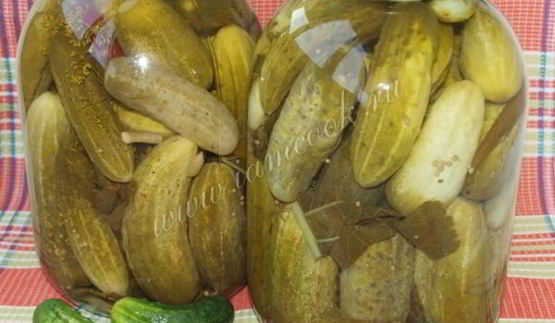 классические маринованные огурцы на зиму
