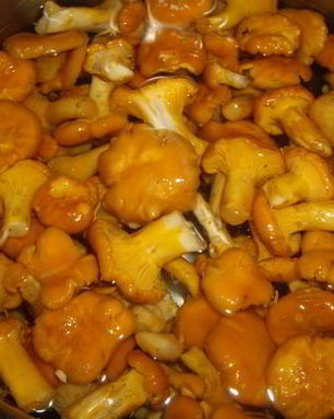 Лисички, маринованные в масле