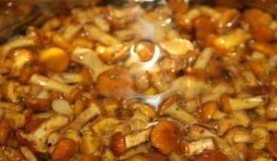 лисички, маринованные в масле