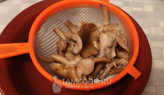 маринование опят без стерилизации на зиму