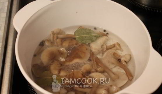 маринование опят без стерилизации на зиму