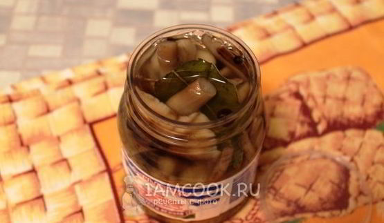 маринование опят без стерилизации на зиму