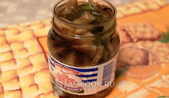 маринование опят без стерилизации на зиму
