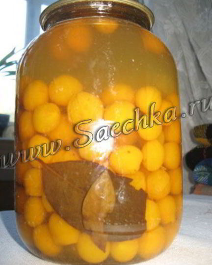 Рецепт маринованной алычи