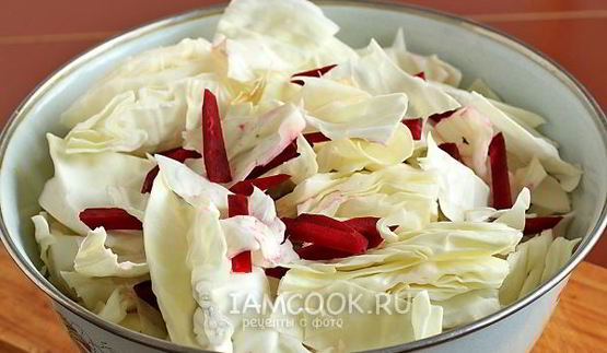 маринованная капуста со свеклой