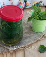 Маринованная крапива