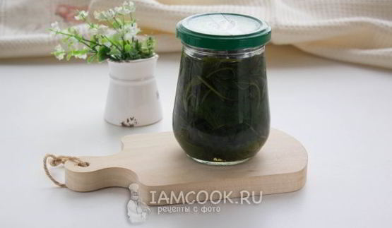 маринованная крапива