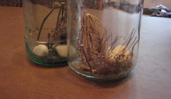 маринованный острый перчик