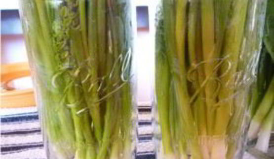 маринованный зеленый лук на зиму