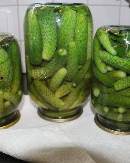 Рецепт маринованных хрустящих огурчиков