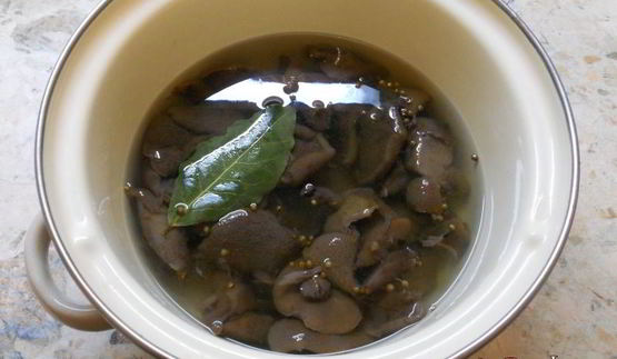 маринованные лесные грибы за 12 часов