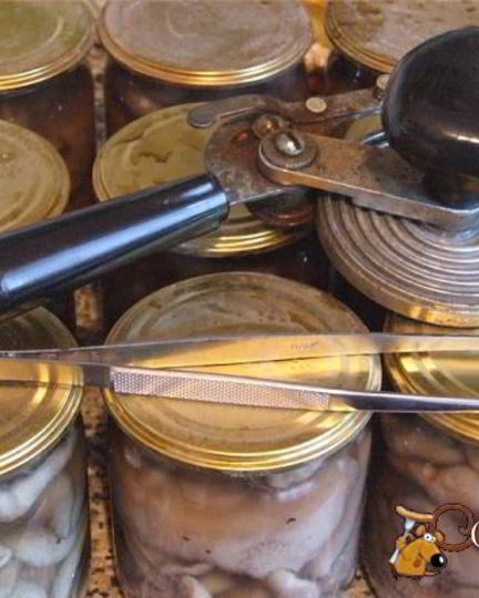 Рецепт маринованных маслят на зиму