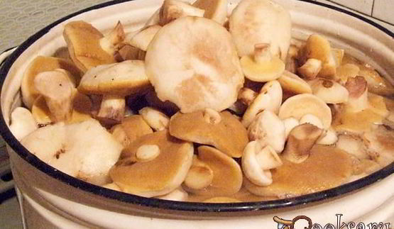 маринованные маслята на зиму