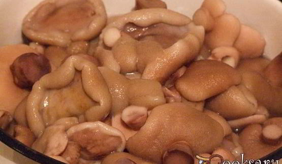 маринованные маслята на зиму