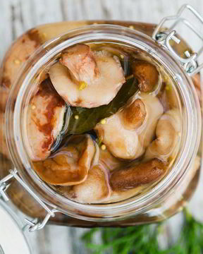 Маринованные маслята