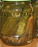 Маринованные огурцы на зиму