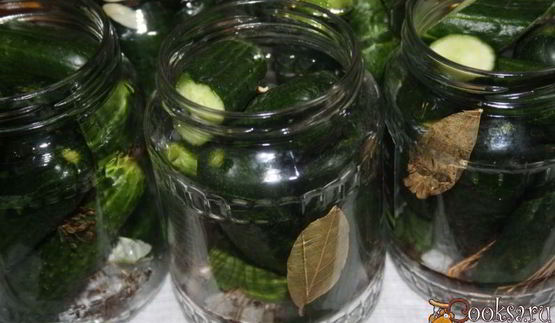 маринованные огурцы на зиму