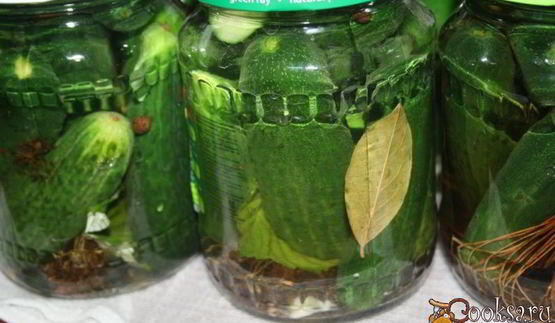 маринованные огурцы на зиму