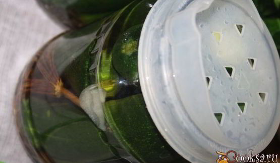 маринованные огурцы на зиму