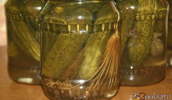 маринованные огурцы на зиму