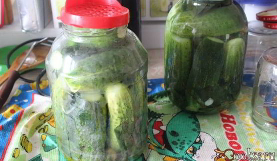 маринованные огурцы с имбирем