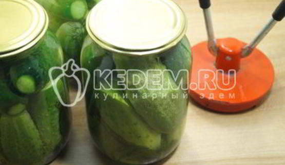 маринованные огурцы в литровых банках