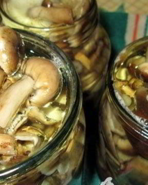 Маринованные опята без уксуса