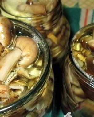 Маринованные опята без уксуса