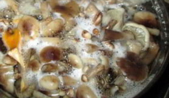 маринованные опята без уксуса