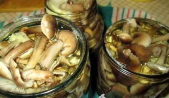 маринованные опята без уксуса