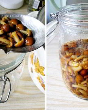 Маринованные опята без закатки